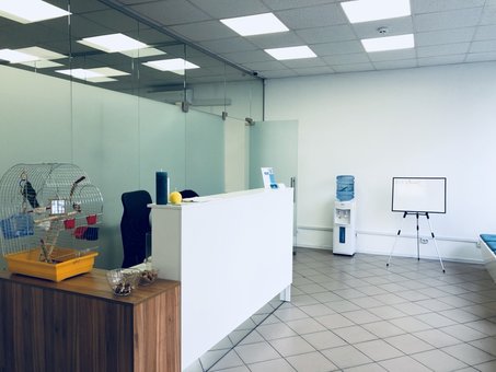 Ветеринарна лікарня «Animal Clinic» у Києві. Оплачуйте послуги ветеринара з акції.