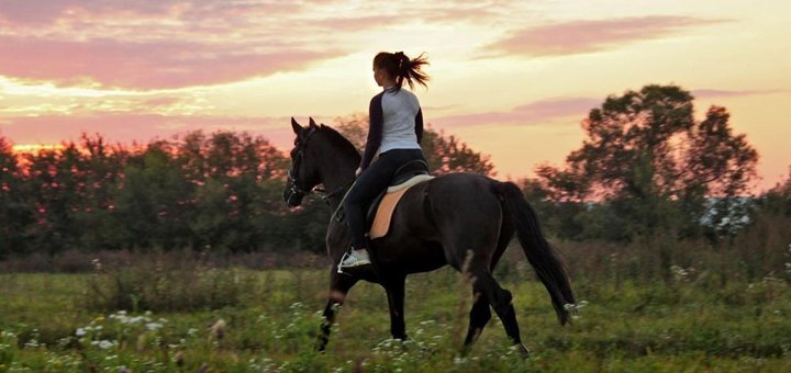 Прогулянки на конях у «Podkova Horse Club» у Києві. Оплачуйте за акцією.