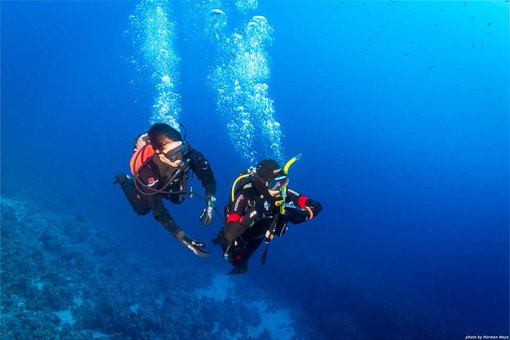 Дайвінг-курси «Under-Sea» у Києві. Оплачуйте за акцією.
