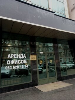 Студія Алли Павленко у Львові. Записуйтесь на корекцію брів за акцією.