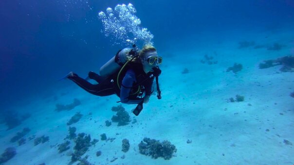Diving in Hurghada from the tourist service «Must2Go». Book for the promotion.