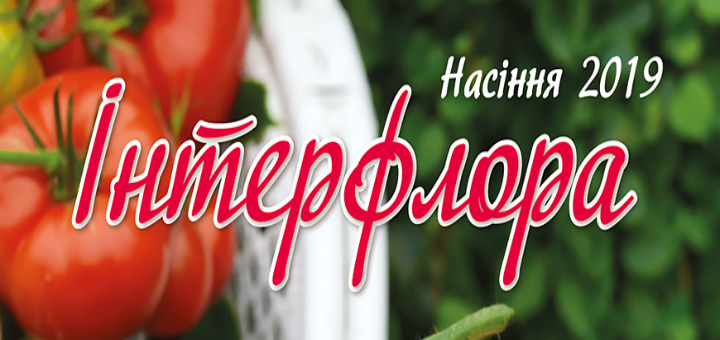Большой выбор семян 