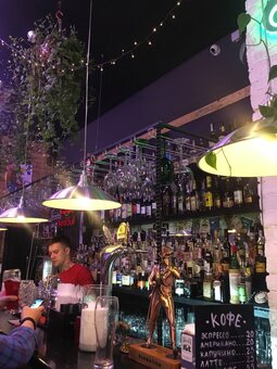 Акции бар «Wood You Like bar»