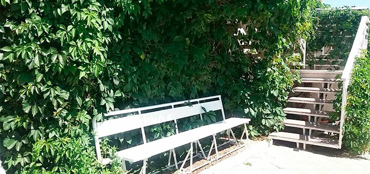 Скидки на отдых на базе отдыха Азовушка в Кирилловке6