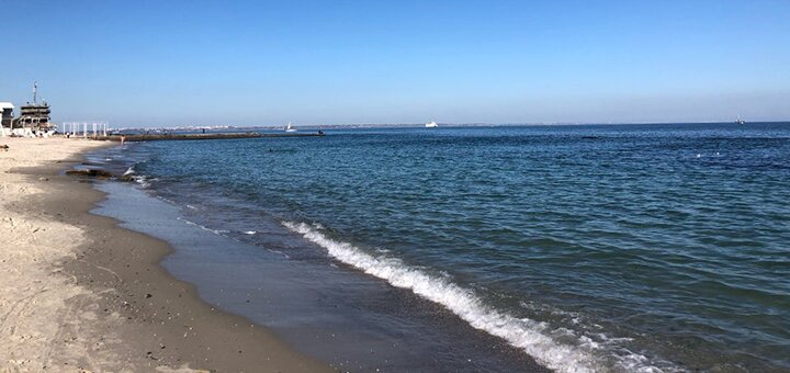 Dolphin beach in odessa 3