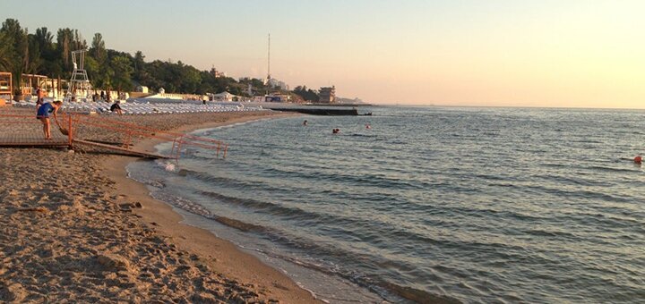 Dolphin beach in odessa 4