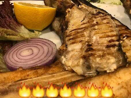 Low prices fish restaurant &quot;fish dash&quot;