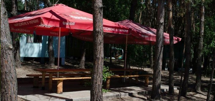Recreation center "Green Light" in Obukhovka at a discount. Inexpensive rest near the Dnieper.