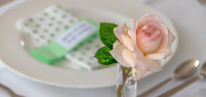 50% discount from renaissance restaurant
