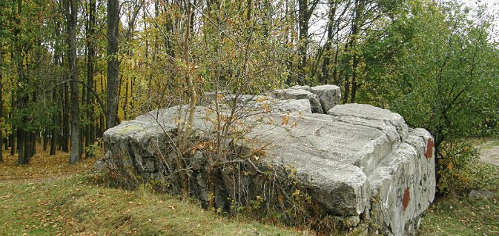 Ставка Гитлера «Вервольф» Винница