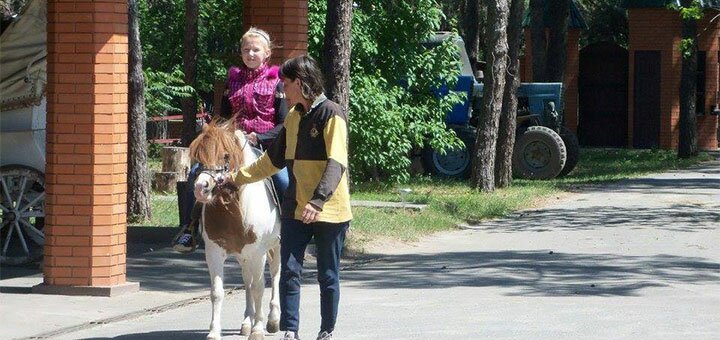 Знижки на відпочинок в готелі Північний ліс в Конотопе13