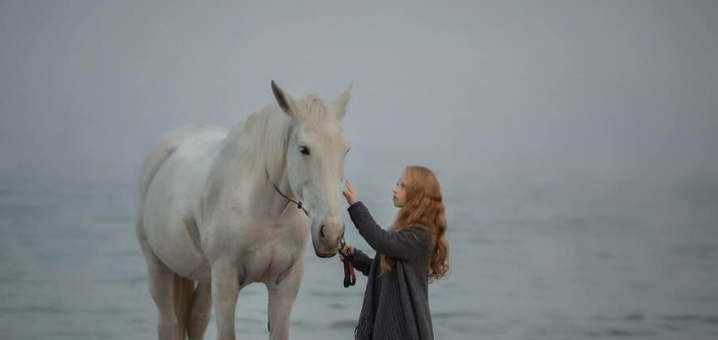 Equestrian club "Ivanhoe" horseback riding