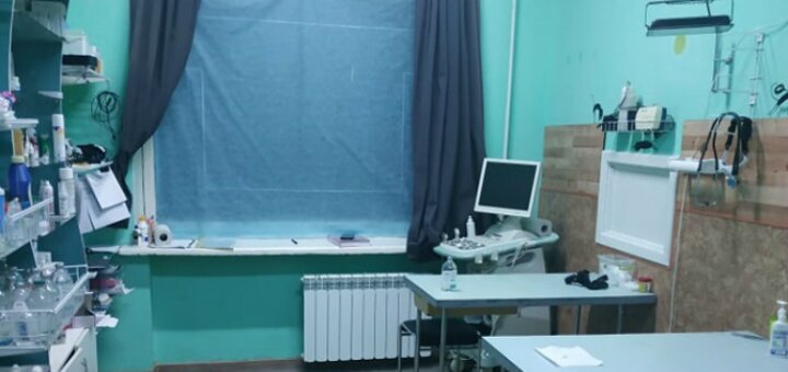 Доступные цены ветеринарний центр «У Ветеринара»