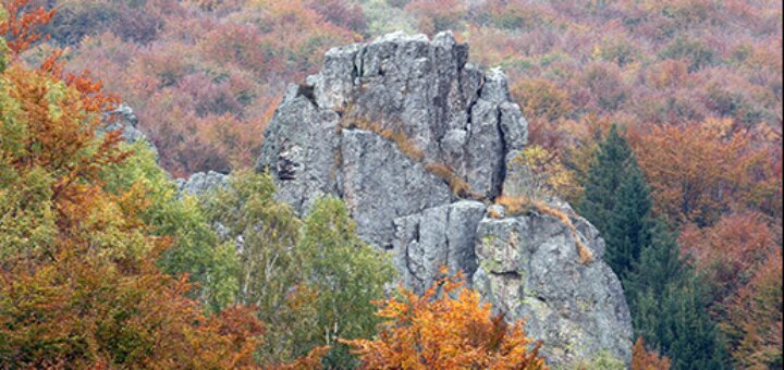 Туристическая зона «Смерековый Камень» Закарпатье