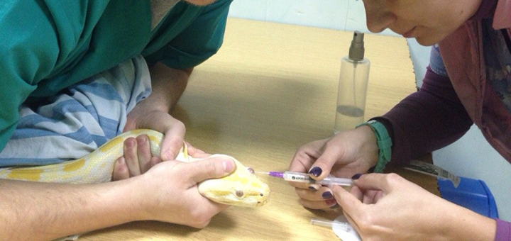 «Центр клинической ветеринарии» ветеринарный центр в Харькове