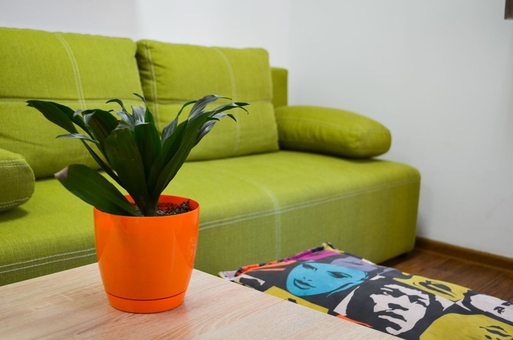 Accommodation at hostel51