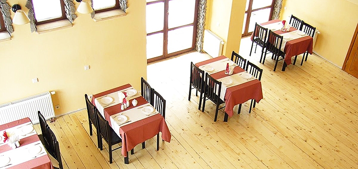 Manor &quot;lion&quot; in the carpathians. book with promotion 8