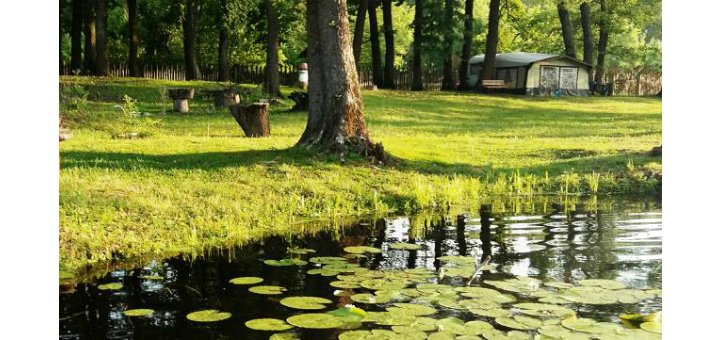 Relax at the recreation center "Rodnik" with a discount 3