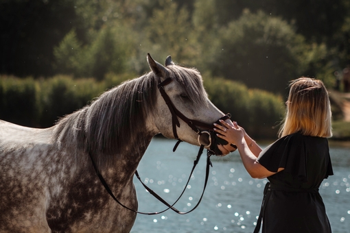 кінний клуб Family_horse_club акція