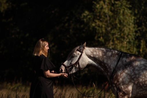 кінний клуб Family_horse_club вартість