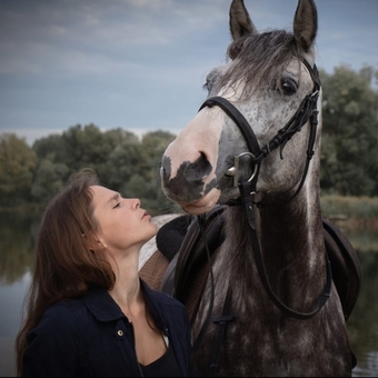 кінний клуб Family_horse_club прогулянки верхи скидки