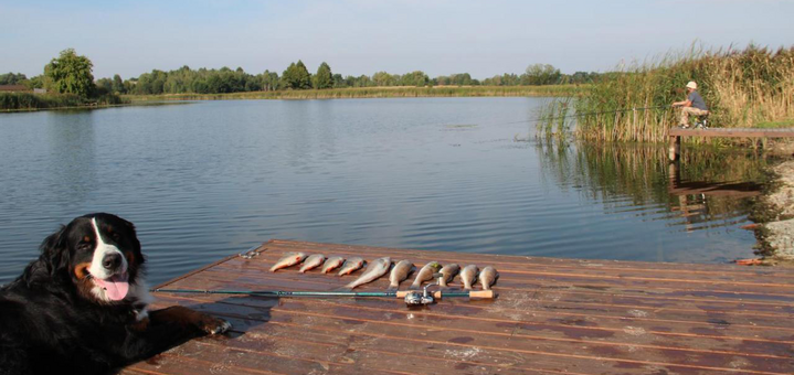 Готель Eden resort під Києвом. Бронюйте за акцією 18