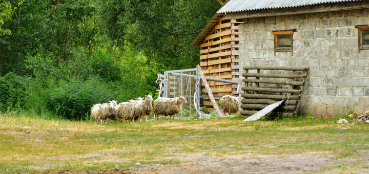 Заміський комплекс Будинок Хаскі. Відпочивайте зі знижкою.22