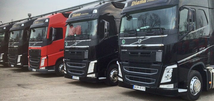 Акция на услуги компании «Diana International Ltd.»