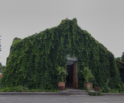 KVITKOVA.Greenhouse in Kyiv