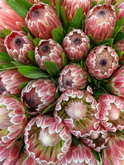 Bouquet delivery in Kiev – make the day unforgettable