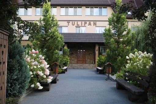 Hotel Tulip in Zakarpattia. Rest on the promotion 41