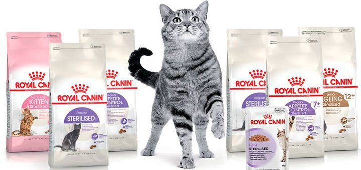 Royal Canin