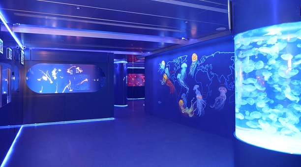 Музей медуз в Киеве. Посещайте по акции 1