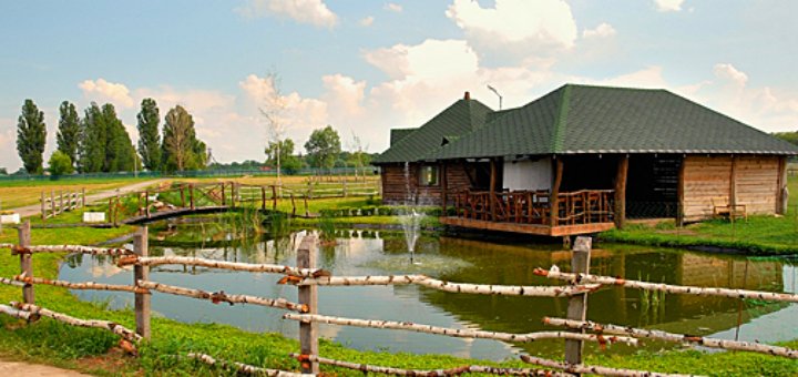 Низькі ціни на страусиній фермі «Чубинський страус»