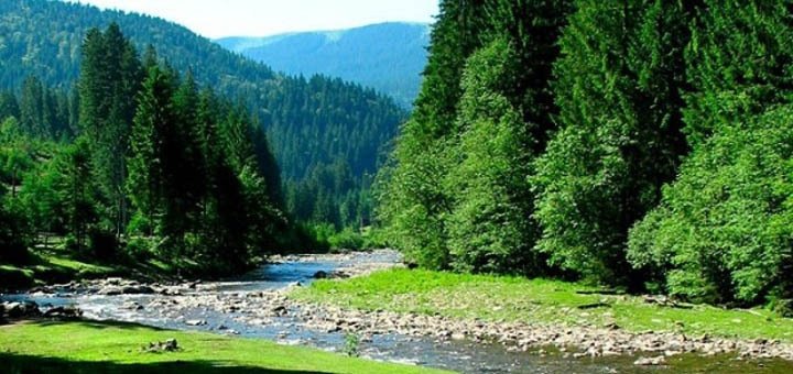 Знижки на відпочинок в готелі «Європа» недалеко від бюветів в самому серці Трускавца2