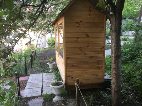 Лікування біополем бджіл «Хеппі Бі» у Києві. Записуйтесь за знижкою.