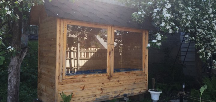 Лікування біополем бджіл «ХепіБі» у Києві. Записуйтесь за знижкою.