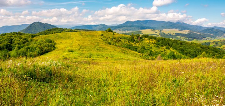 Знижки на відпочинок у готелі «Карпатська феєрія» в Пилипці13.