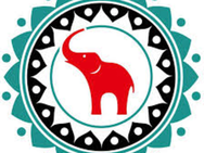 Sharikava в Житомире