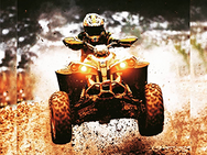 Quadro_bro