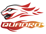 QUADRO 250