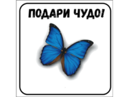 Живые Бабочки