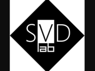 SVD Lab